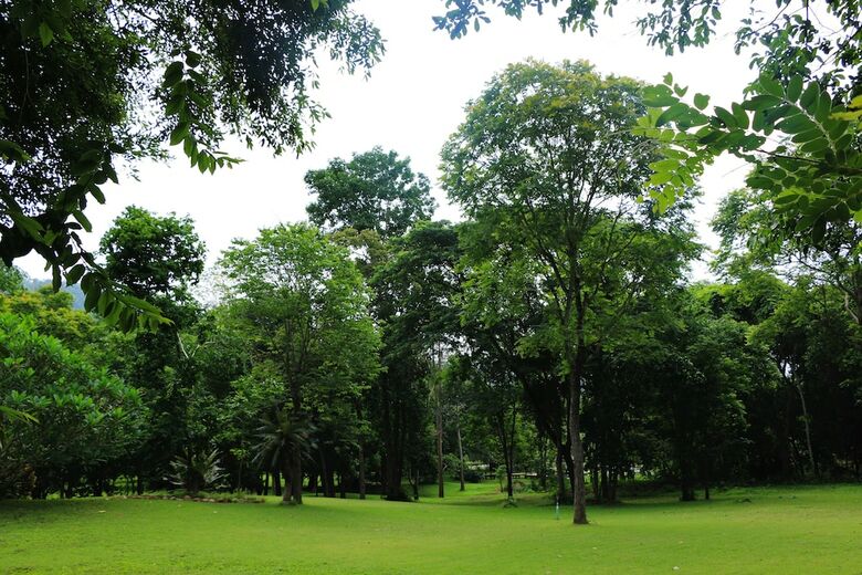 Hotel Baan Maka Nature Lodge