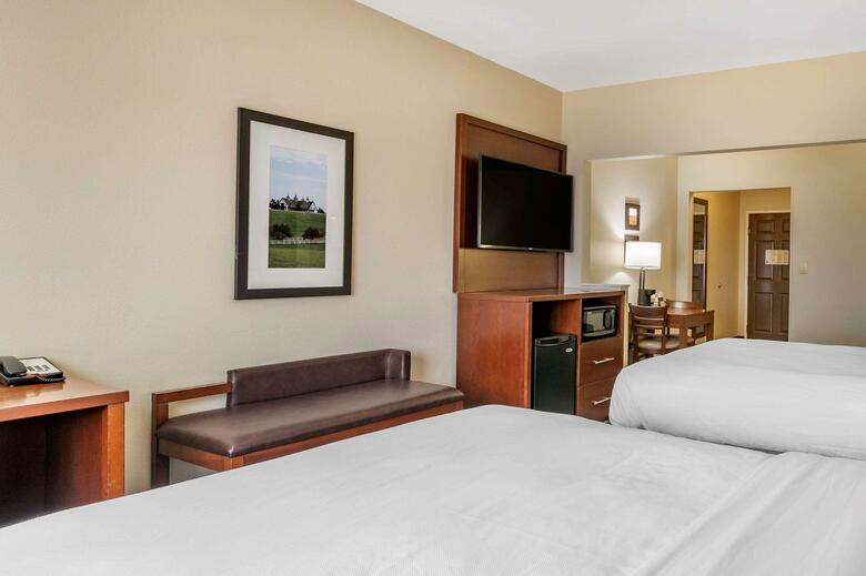 Hotel Comfort Suites Lexington