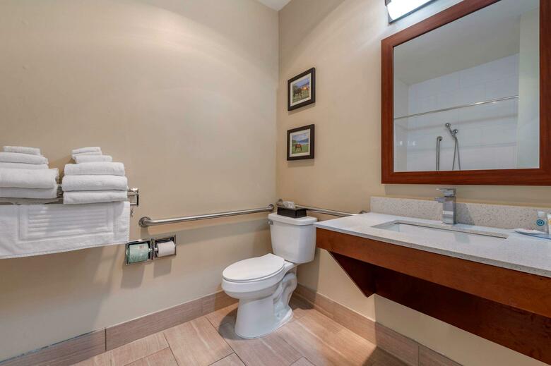 Hotel Comfort Suites Lexington
