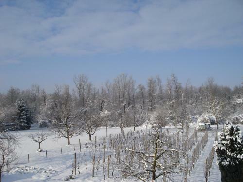 Hostal G�stehaus Gertrud Moog