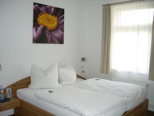 Hostal Pension Im Sunneg�ssle
