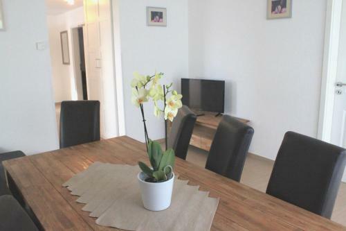Apartment - Pension Marianna
