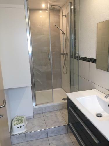 Apartamento A & J Ferienwohnung Hirsch