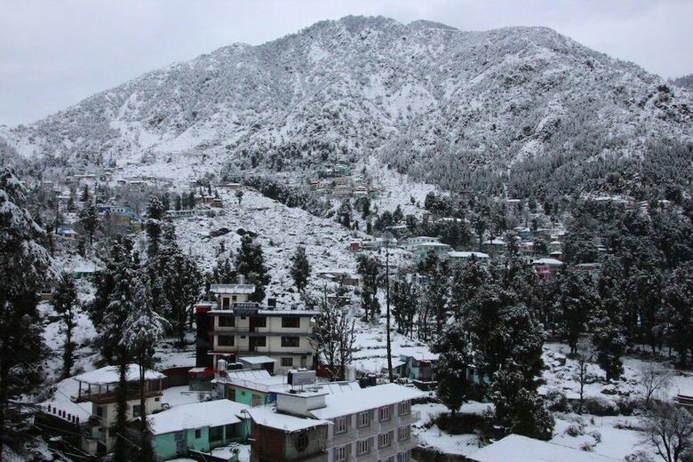 Hotel Shivani International