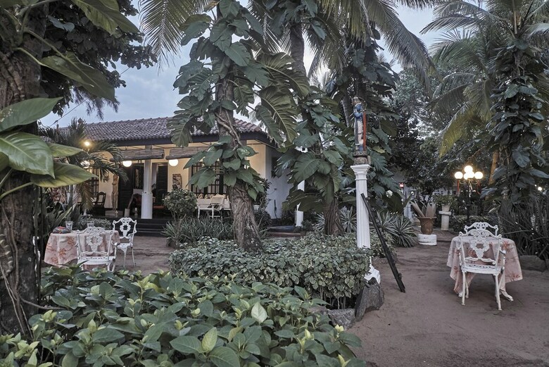Hotel The Icebear Guesthouse