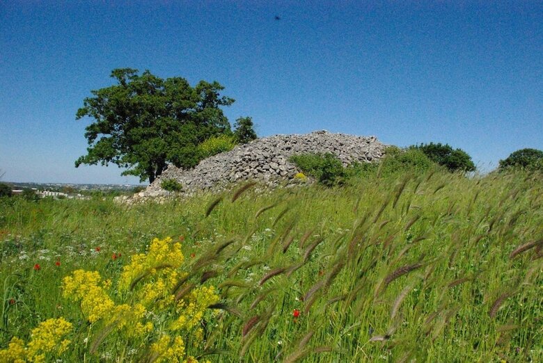 Agroturismo La Casa Degli Uccellini  Bio Agriturismo