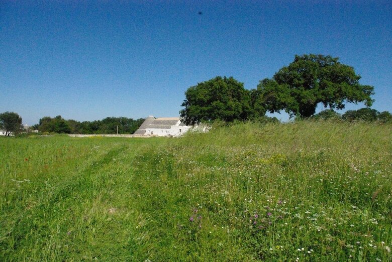 Agroturismo La Casa Degli Uccellini  Bio Agriturismo