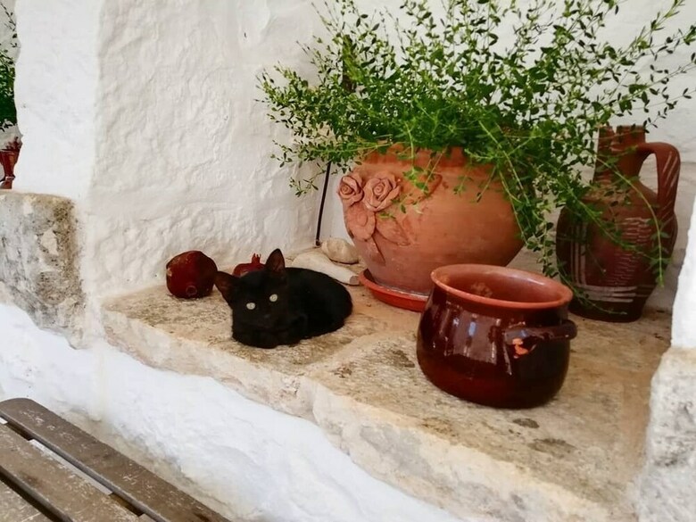Agroturismo La Casa Degli Uccellini  Bio Agriturismo