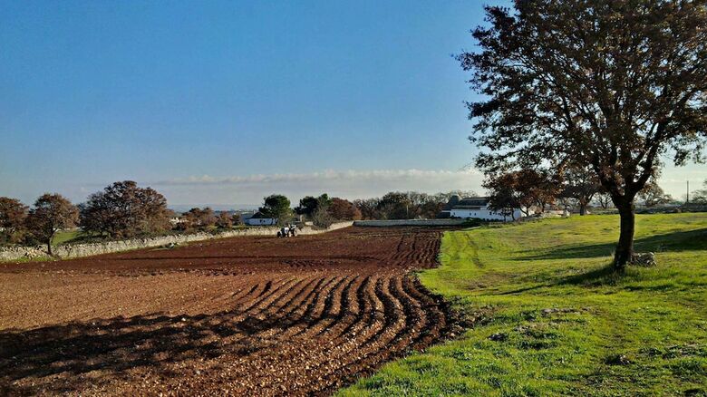 Agroturismo La Casa Degli Uccellini  Bio Agriturismo
