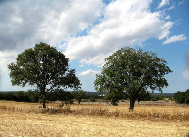 Agroturismo La Casa Degli Uccellini  Bio Agriturismo