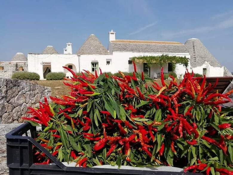 Agroturismo La Casa Degli Uccellini  Bio Agriturismo