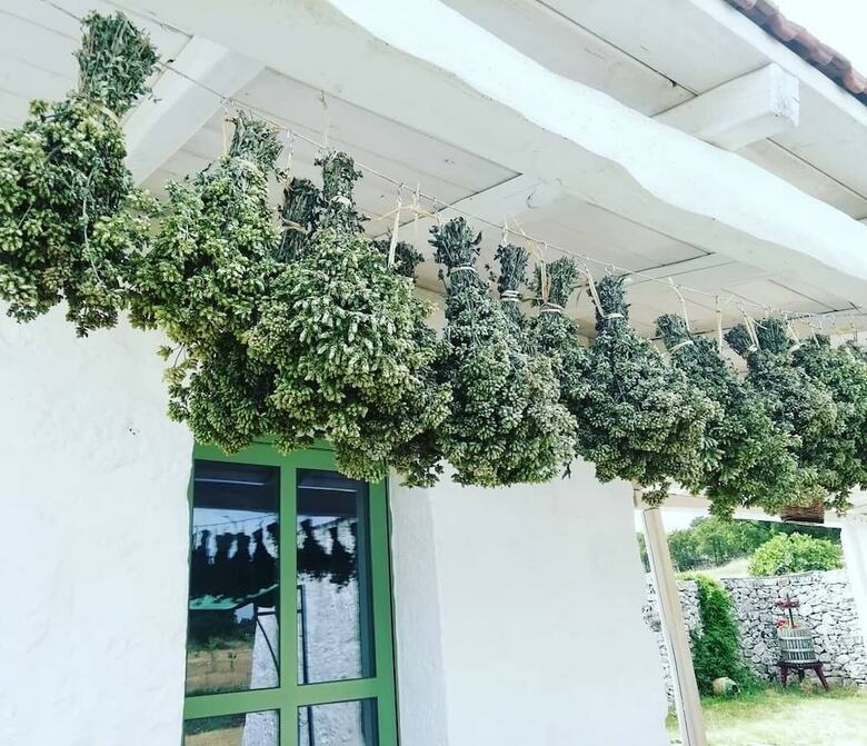 Agroturismo La Casa Degli Uccellini  Bio Agriturismo