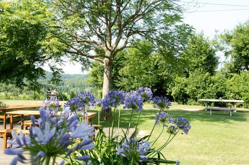 Hostal Hotel Und Gutsgastst�tte Rappenhof