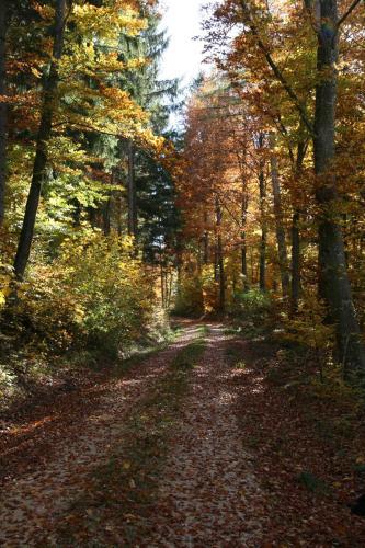 Hostal Landgasthof Sontheimer Wirtsh�usle