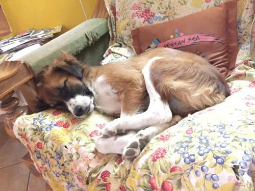 Shkodra Backpackers Hostel