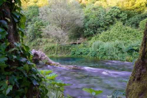 Apartamento Vila Florika Hotel