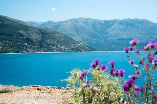Apartamento Vila Florika Hotel