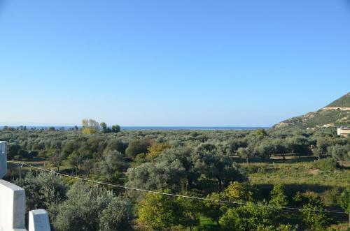 Apartamento Vila Florika Hotel