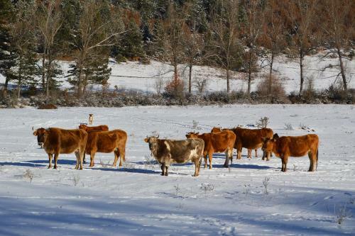 Agroturismo Farm Sotira