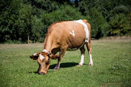 Agroturismo Farm Sotira