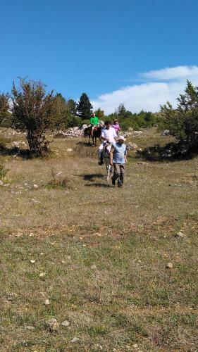 Agroturismo Farm Sotira