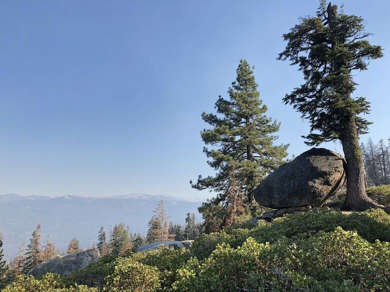 Hotel John Muir Lodge