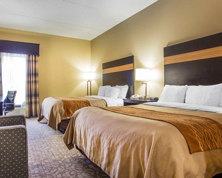 Hotel Comfort Inn & Suites At Stone Mountain