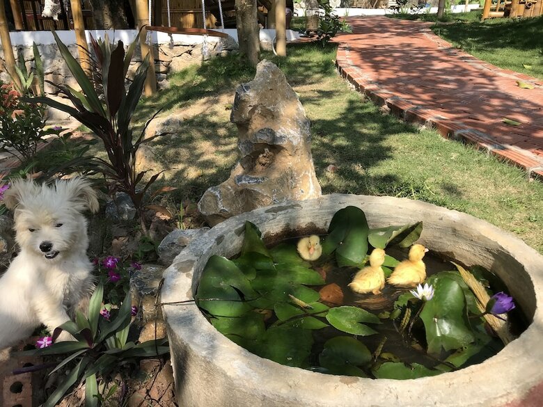 Hotel Trang An Lamia Bungalow