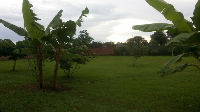 Hotel Lavic Country Resort