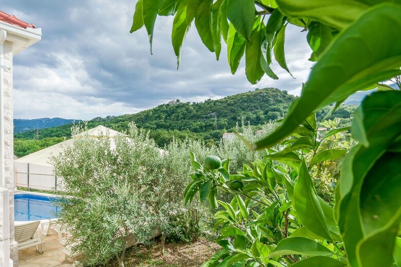 Villa Holiday Home Zve?anje
