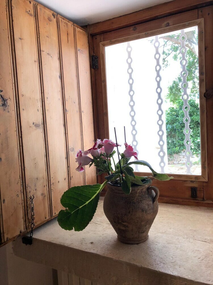 Bed & Breakfast Residenza Fenicia