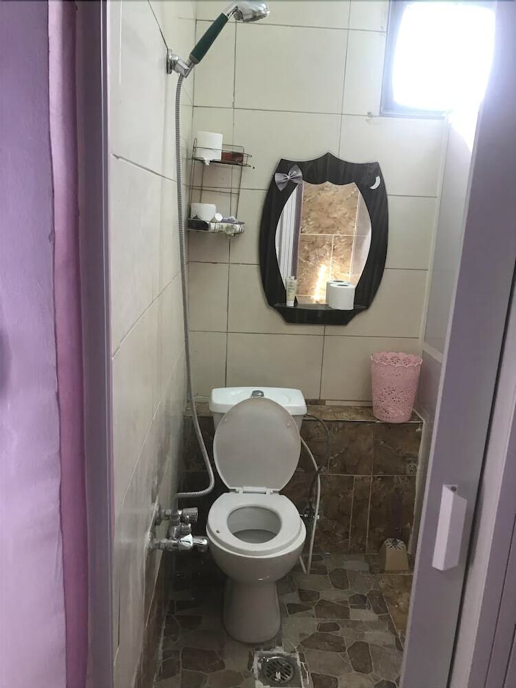 Hostal Alamer Hostel 2