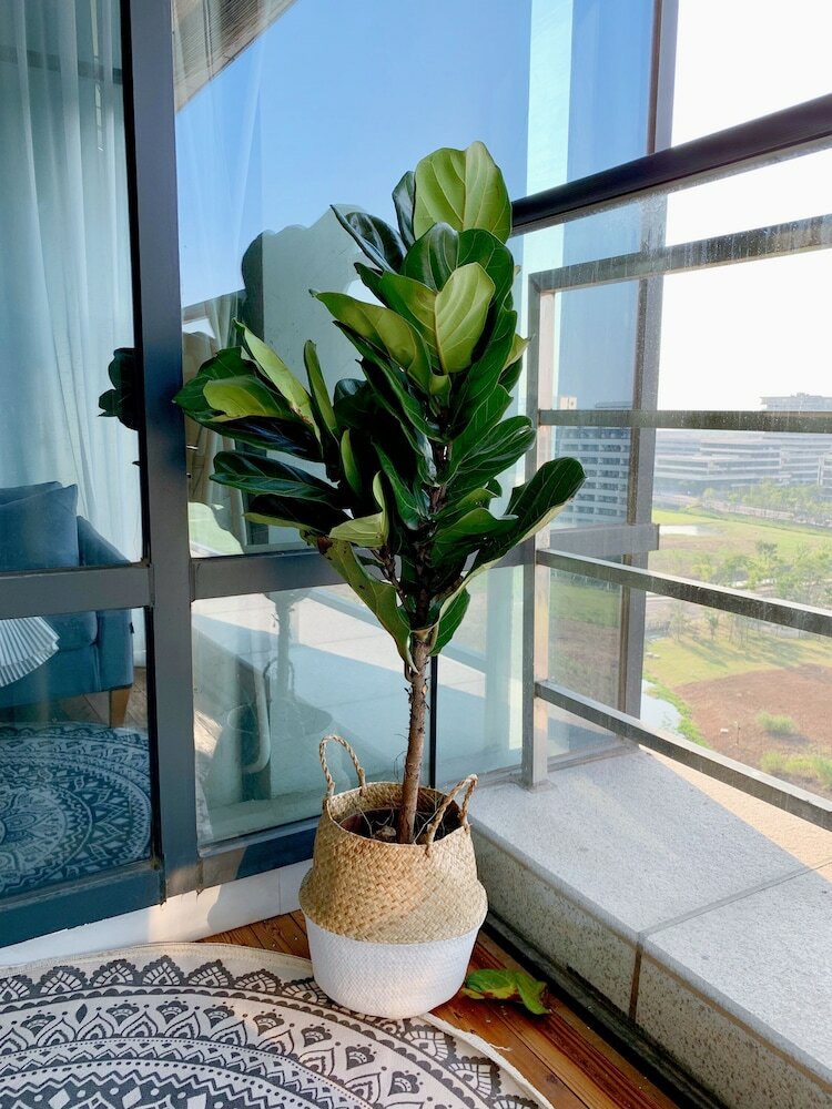 Hangzhou Zero Apartment No.1