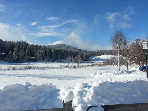 Hostal Gasthof Ramona