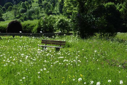 Apartamentos G�stehaus Wiesenruh