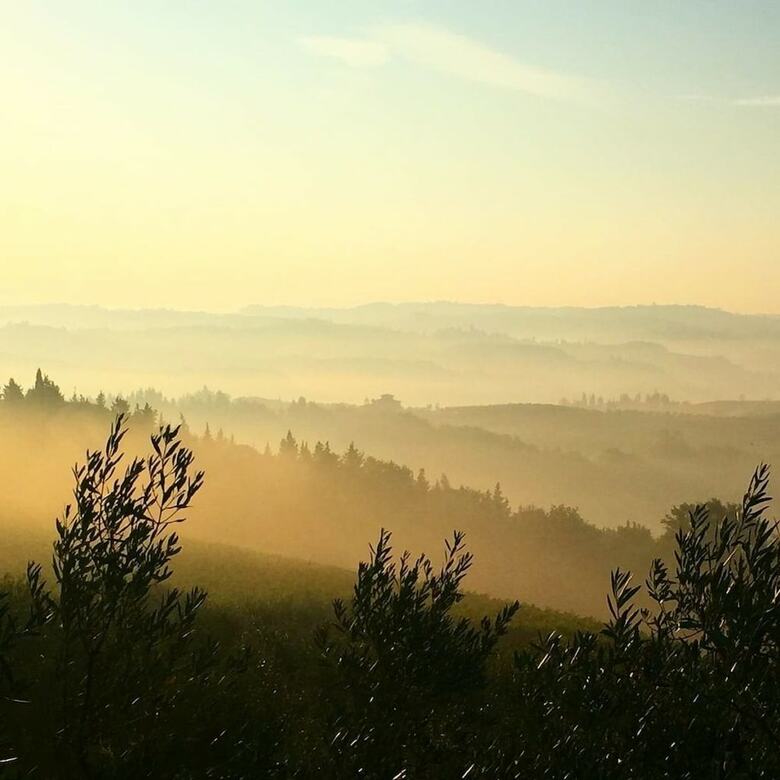 Agroturismo Fattoria Poggio Capponi