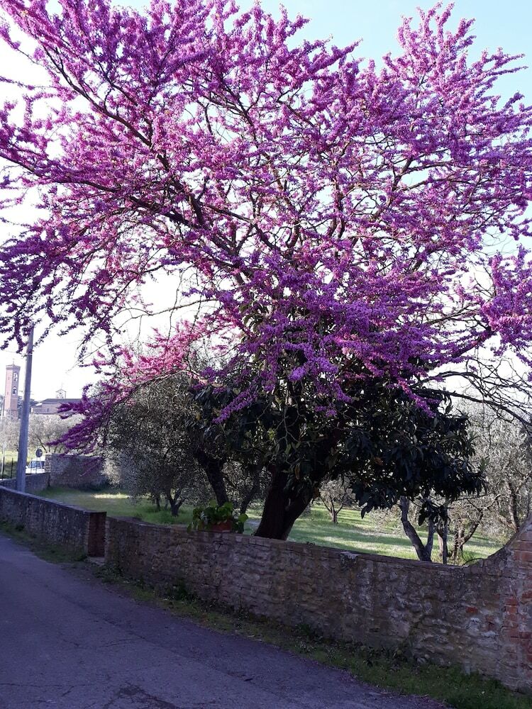 Agroturismo Fattoria Poggio Capponi