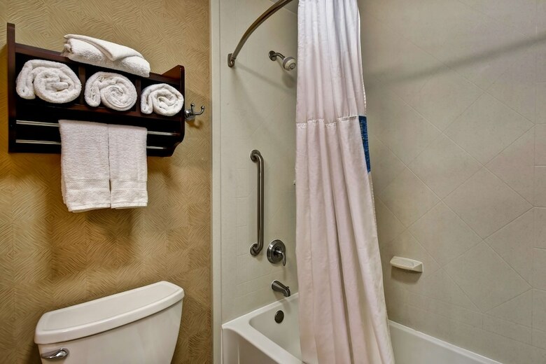 Hotel Hampton Inn Starkville