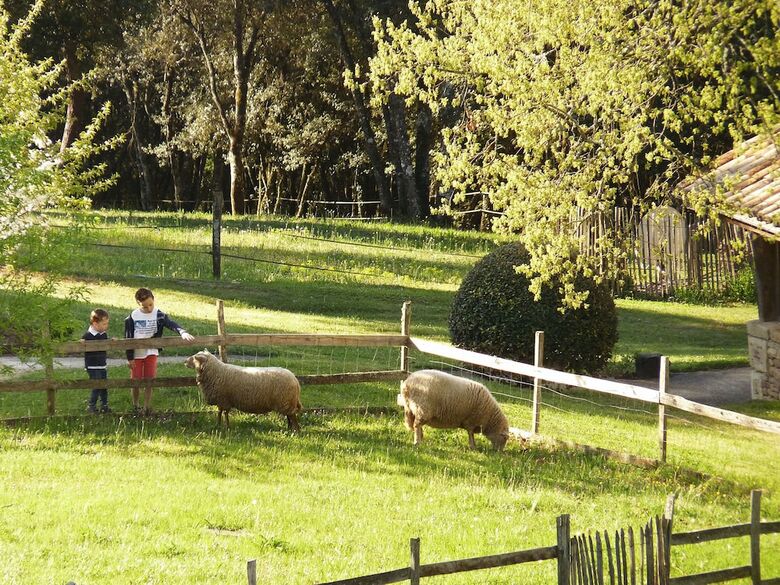 Hameau Du Sentier Des Sources - Studios