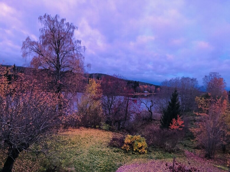 Cabin Lilly Of The Valley. Open For Bookings