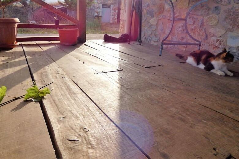 Luxurious Mansion In Olive Grove & View To Mystras