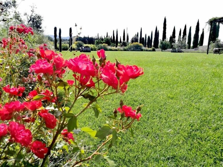 Bed & Breakfast Locanda Dell'aioncino
