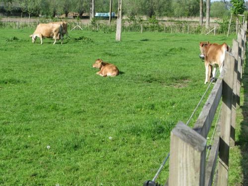 B&B Le Plat Pays