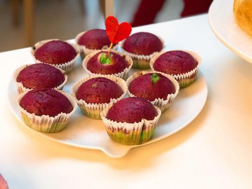 Vegan, Plant Based B&B Central Bruges