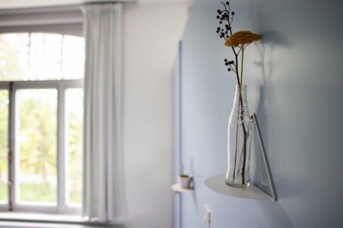 Vegan, Plant Based B&B Central Bruges