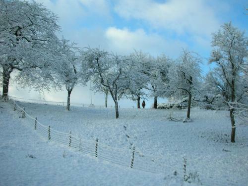 Lodge Holiday Home Le Grand Gite De Laval Ferrieres