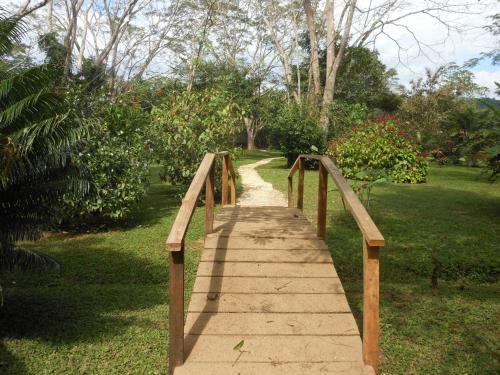 Macaw Bank Jungle Lodge