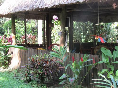 Macaw Bank Jungle Lodge