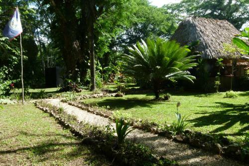 Macaw Bank Jungle Lodge