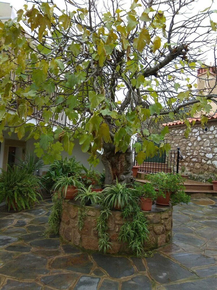 Apartamentos Rurales T�a Mar�a